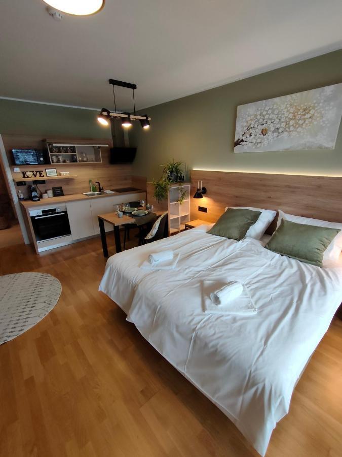 Bed & Breakfast Rezidenca Pipanova Ljubljana Dış mekan fotoğraf