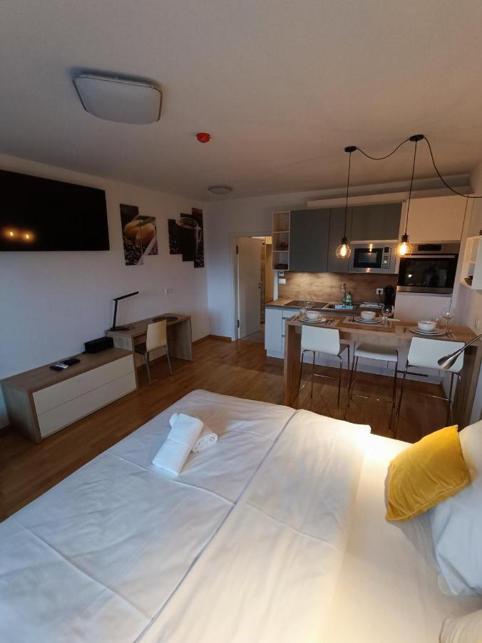 Bed & Breakfast Rezidenca Pipanova Ljubljana Dış mekan fotoğraf